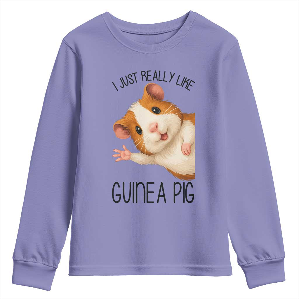 I Just Really Like Guinea Pigs Youth Sweatshirt Funny Cavy Lover - Wonder Print Shop