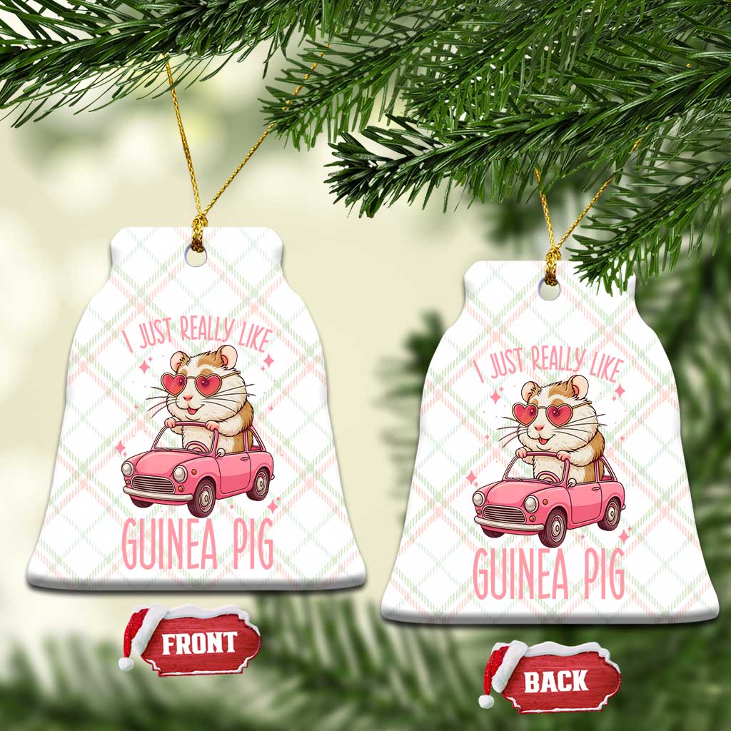I Just Really Like Guinea Pigs Ceramic Ornament Pet Lover Gift For Girl - Wonder Print Shop