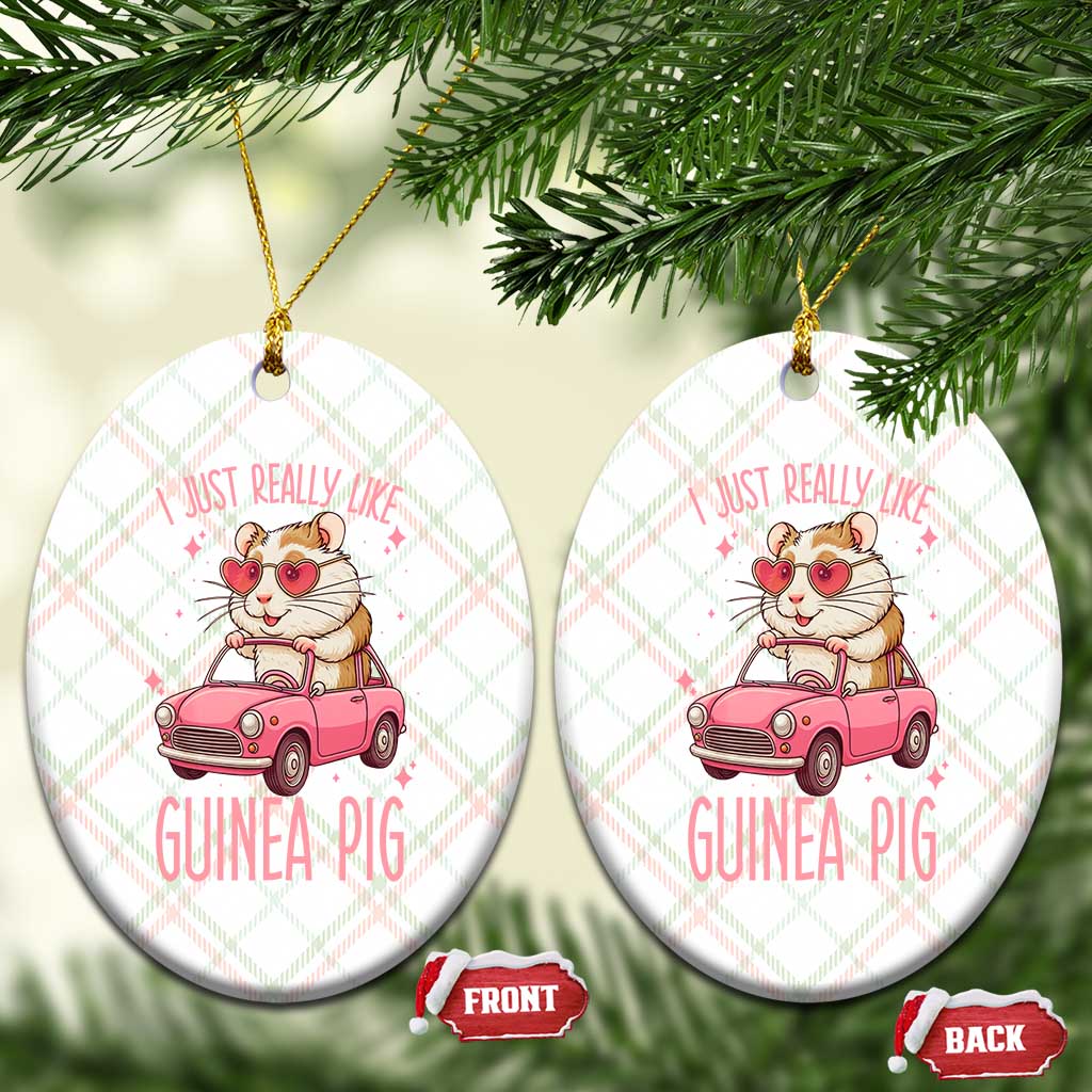 I Just Really Like Guinea Pigs Ceramic Ornament Pet Lover Gift For Girl - Wonder Print Shop