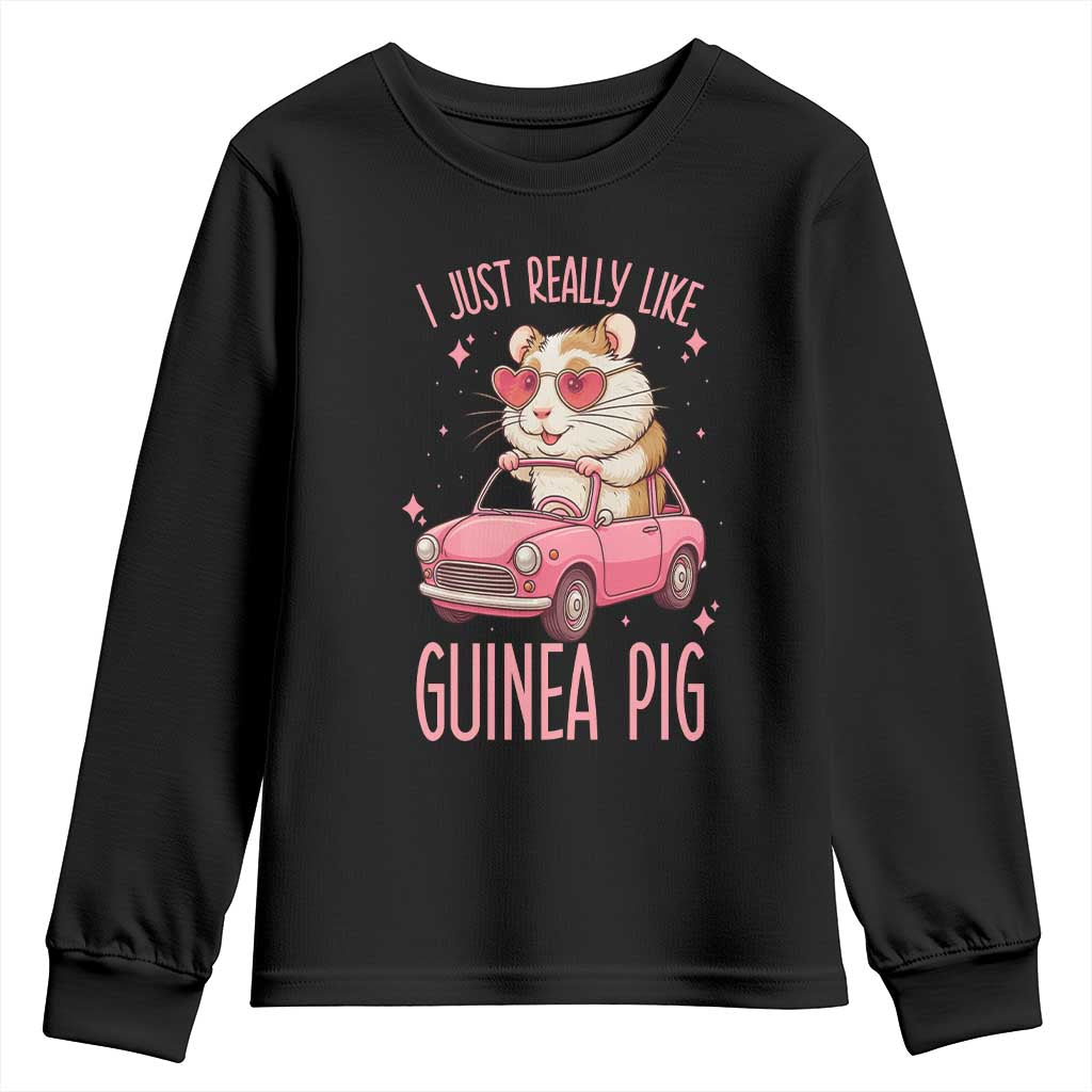 I Just Really Like Guinea Pigs Youth Sweatshirt Pet Lover Gift For Girl - Wonder Print Shop