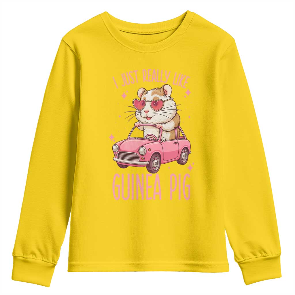 I Just Really Like Guinea Pigs Youth Sweatshirt Pet Lover Gift For Girl - Wonder Print Shop