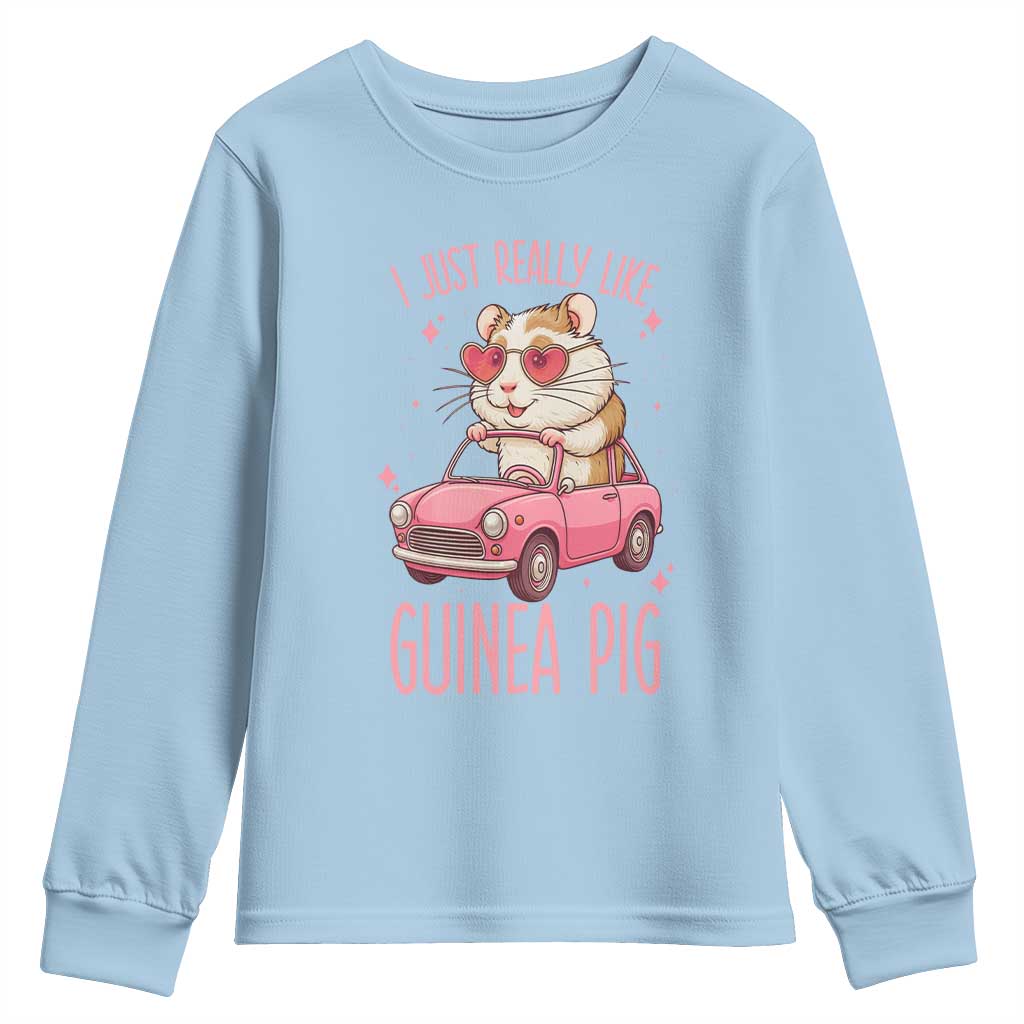 I Just Really Like Guinea Pigs Youth Sweatshirt Pet Lover Gift For Girl - Wonder Print Shop