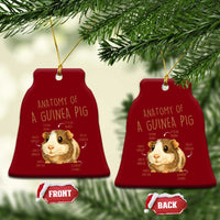 Anatomy Of A Guinea Pig Ceramic Ornament Funny Cavy Lover Animal Anatomy Gift - Wonder Print Shop