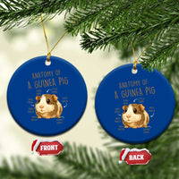 Anatomy Of A Guinea Pig Ceramic Ornament Funny Cavy Lover Animal Anatomy Gift - Wonder Print Shop