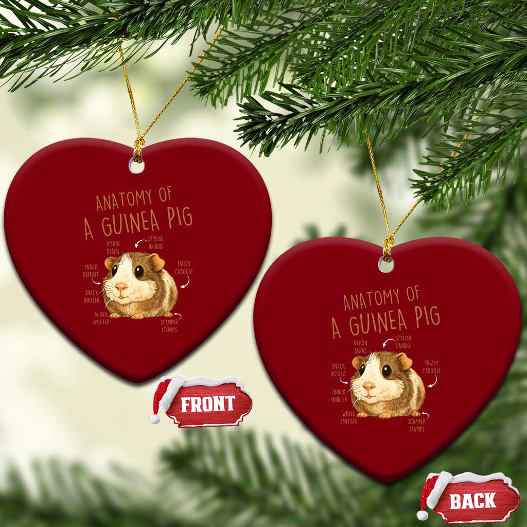 Anatomy Of A Guinea Pig Ceramic Ornament Funny Cavy Lover Animal Anatomy Gift - Wonder Print Shop