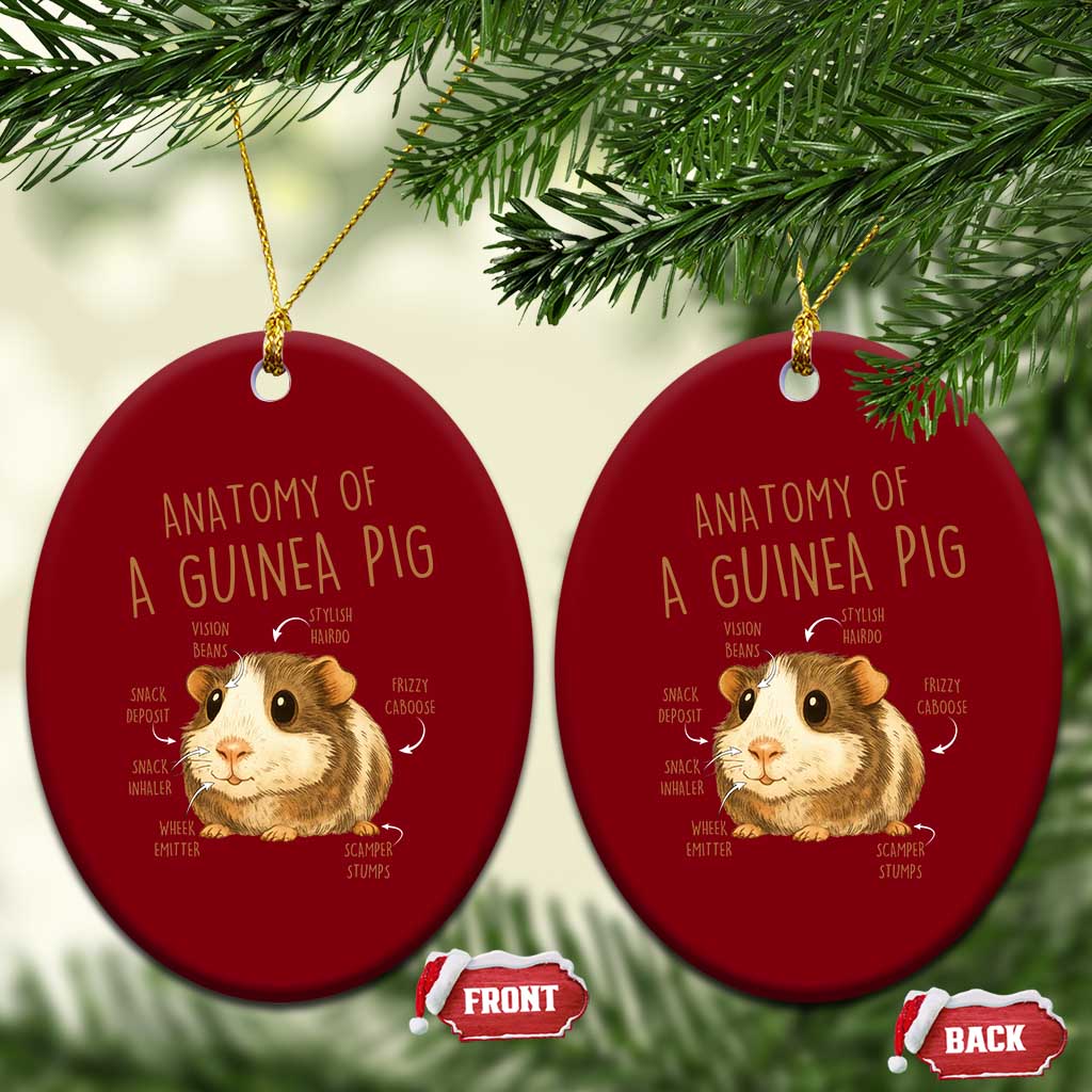 Anatomy Of A Guinea Pig Ceramic Ornament Funny Cavy Lover Animal Anatomy Gift - Wonder Print Shop