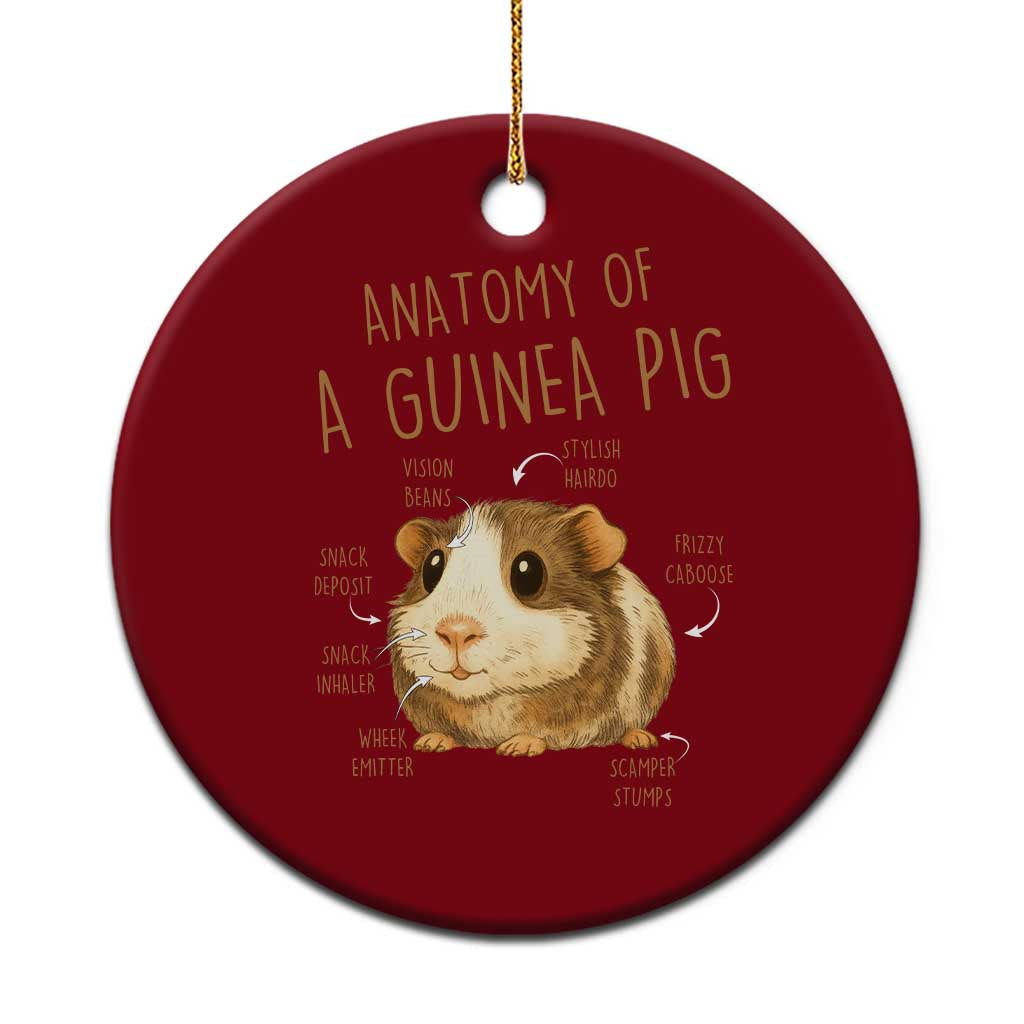 Anatomy Of A Guinea Pig Ceramic Ornament Funny Cavy Lover Animal Anatomy Gift - Wonder Print Shop