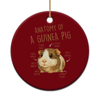 Anatomy Of A Guinea Pig Ceramic Ornament Funny Cavy Lover Animal Anatomy Gift - Wonder Print Shop