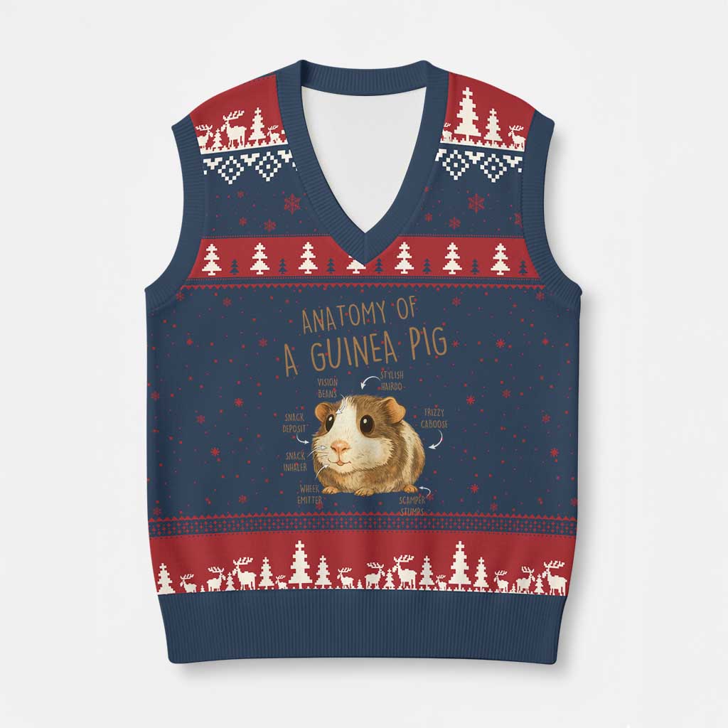 Anatomy Of A Guinea Pig V-Neck Knit Sweater Vest Funny Cavy Lover Animal Anatomy Gift - Wonder Print Shop