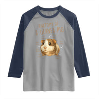 Anatomy Of A Guinea Pig Raglan Shirt Funny Cavy Lover Animal Anatomy Gift - Wonder Print Shop