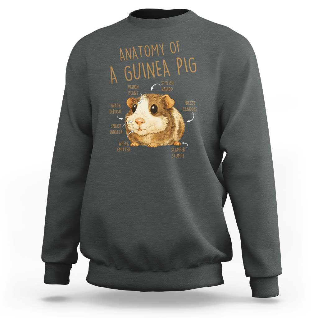 Anatomy Of A Guinea Pig Sweatshirt Funny Cavy Lover Animal Anatomy Gift - Wonder Print Shop