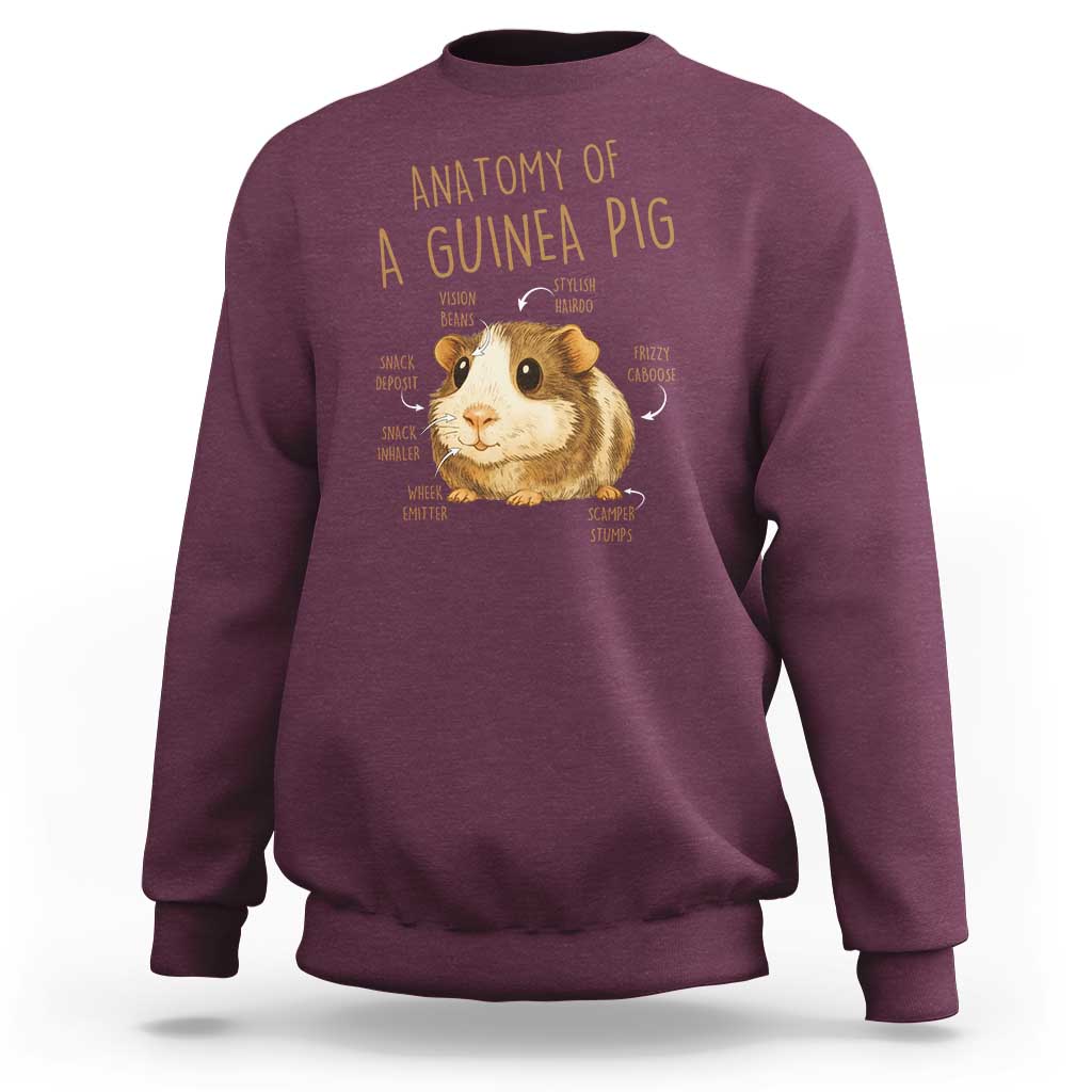 Anatomy Of A Guinea Pig Sweatshirt Funny Cavy Lover Animal Anatomy Gift - Wonder Print Shop
