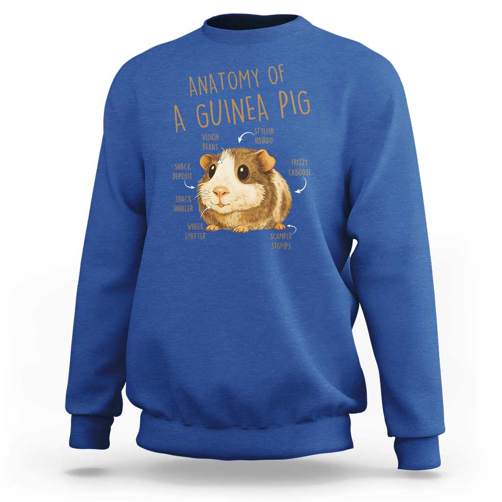 Anatomy Of A Guinea Pig Sweatshirt Funny Cavy Lover Animal Anatomy Gift - Wonder Print Shop