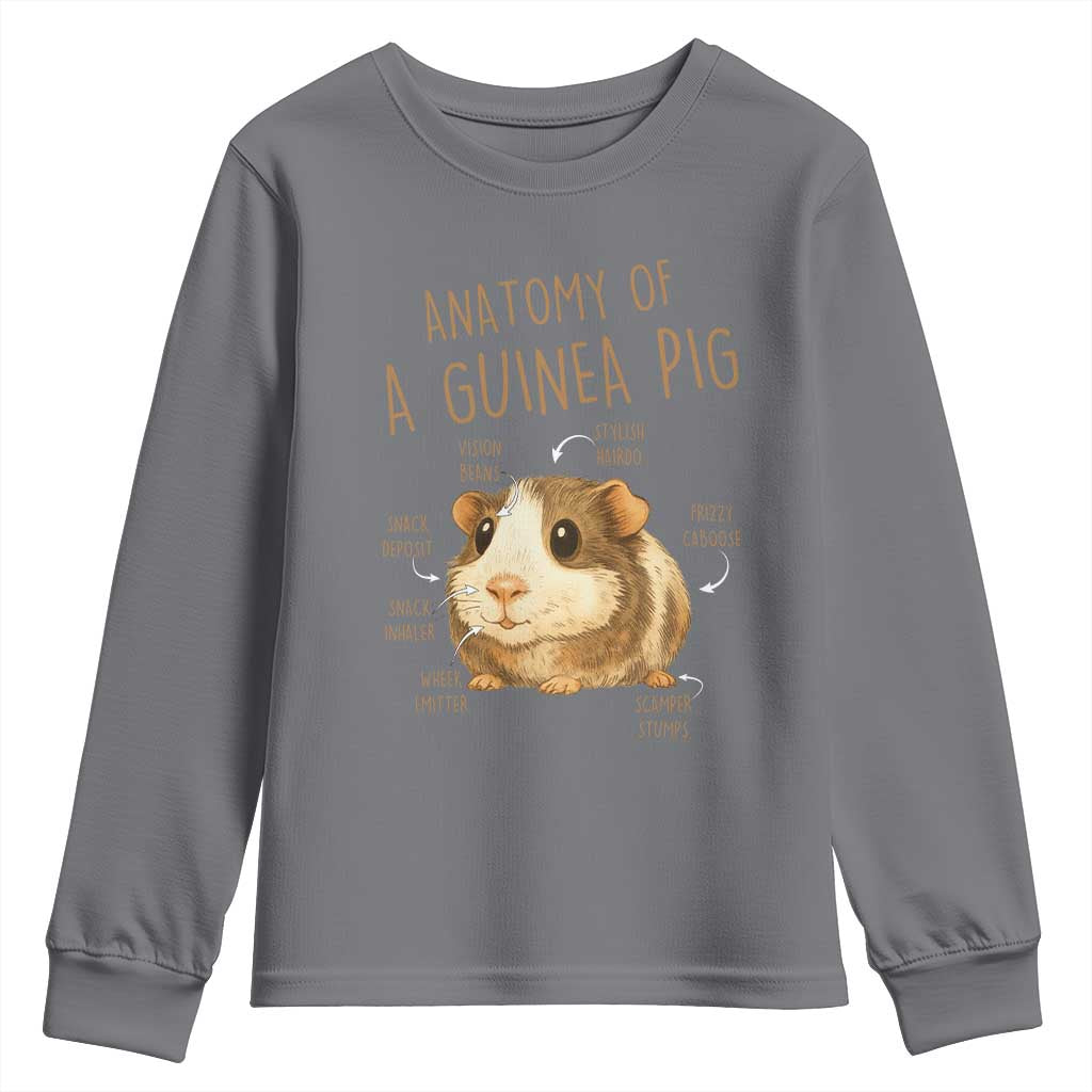 Anatomy Of A Guinea Pig Youth Sweatshirt Funny Cavy Lover Animal Anatomy Gift - Wonder Print Shop
