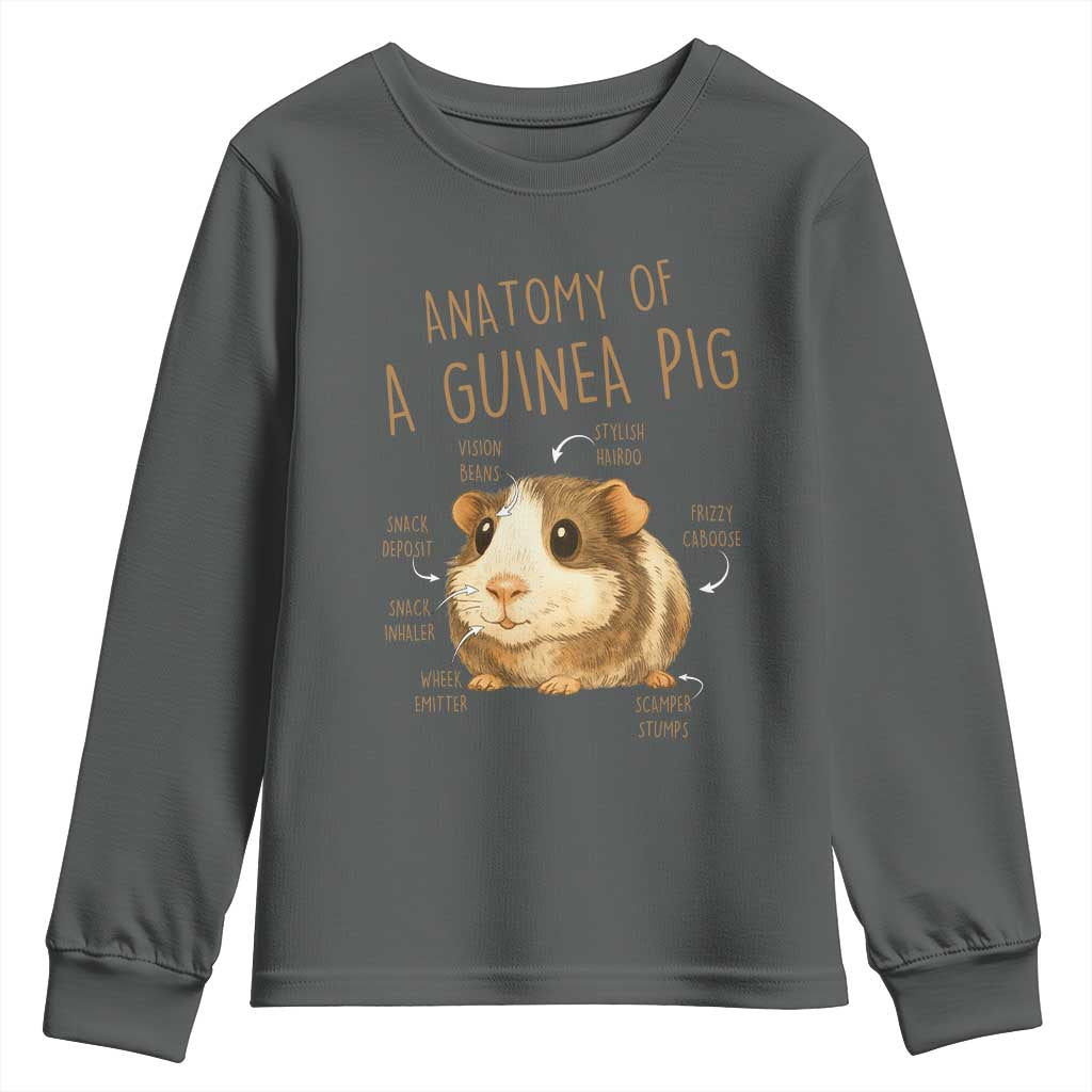 Anatomy Of A Guinea Pig Youth Sweatshirt Funny Cavy Lover Animal Anatomy Gift - Wonder Print Shop