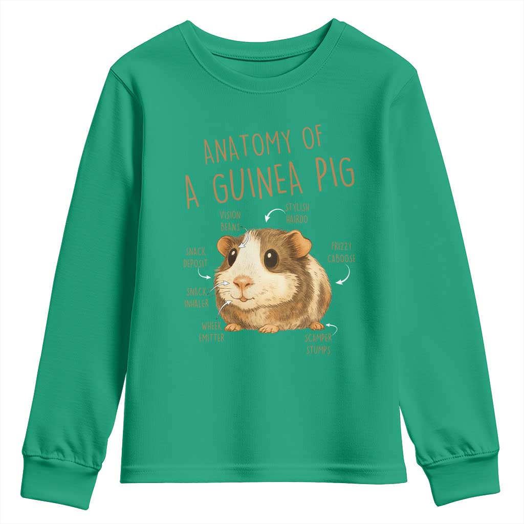 Anatomy Of A Guinea Pig Youth Sweatshirt Funny Cavy Lover Animal Anatomy Gift - Wonder Print Shop