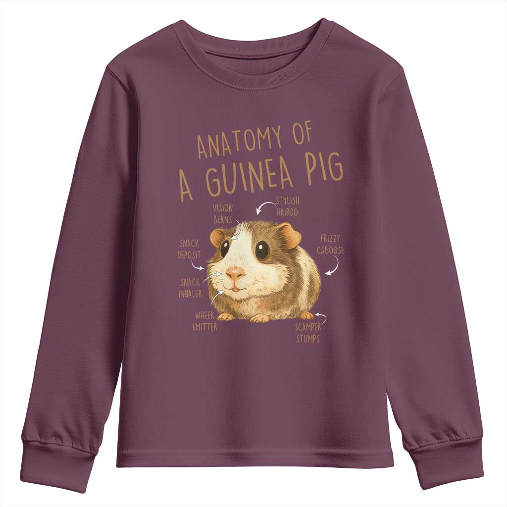 Anatomy Of A Guinea Pig Youth Sweatshirt Funny Cavy Lover Animal Anatomy Gift - Wonder Print Shop