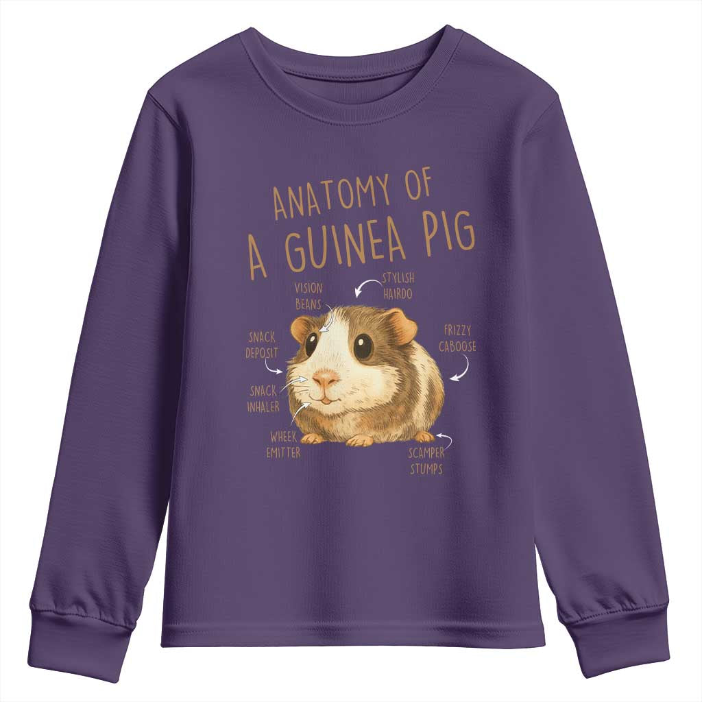 Anatomy Of A Guinea Pig Youth Sweatshirt Funny Cavy Lover Animal Anatomy Gift - Wonder Print Shop