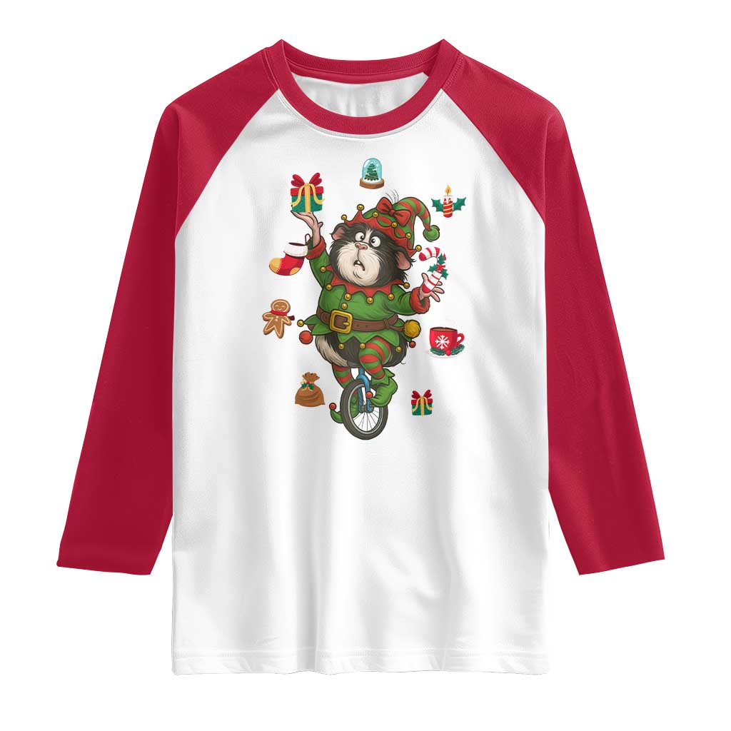 Guinea Pig Master Juggler Raglan Shirt Funny Christmas Cavy Lover Gift - Wonder Print Shop