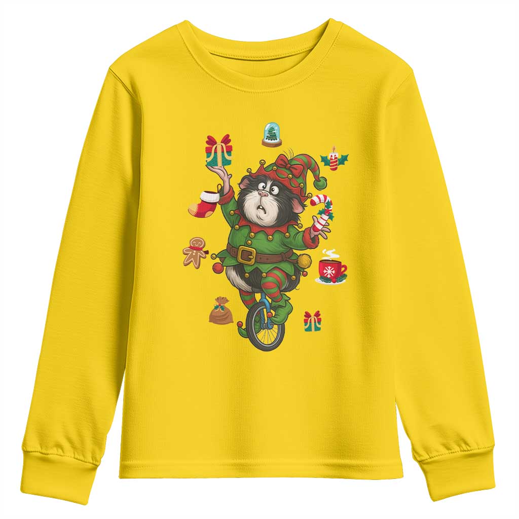 Guinea Pig Master Juggler Youth Sweatshirt Funny Christmas Cavy Lover Gift - Wonder Print Shop