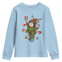 Guinea Pig Master Juggler Youth Sweatshirt Funny Christmas Cavy Lover Gift - Wonder Print Shop