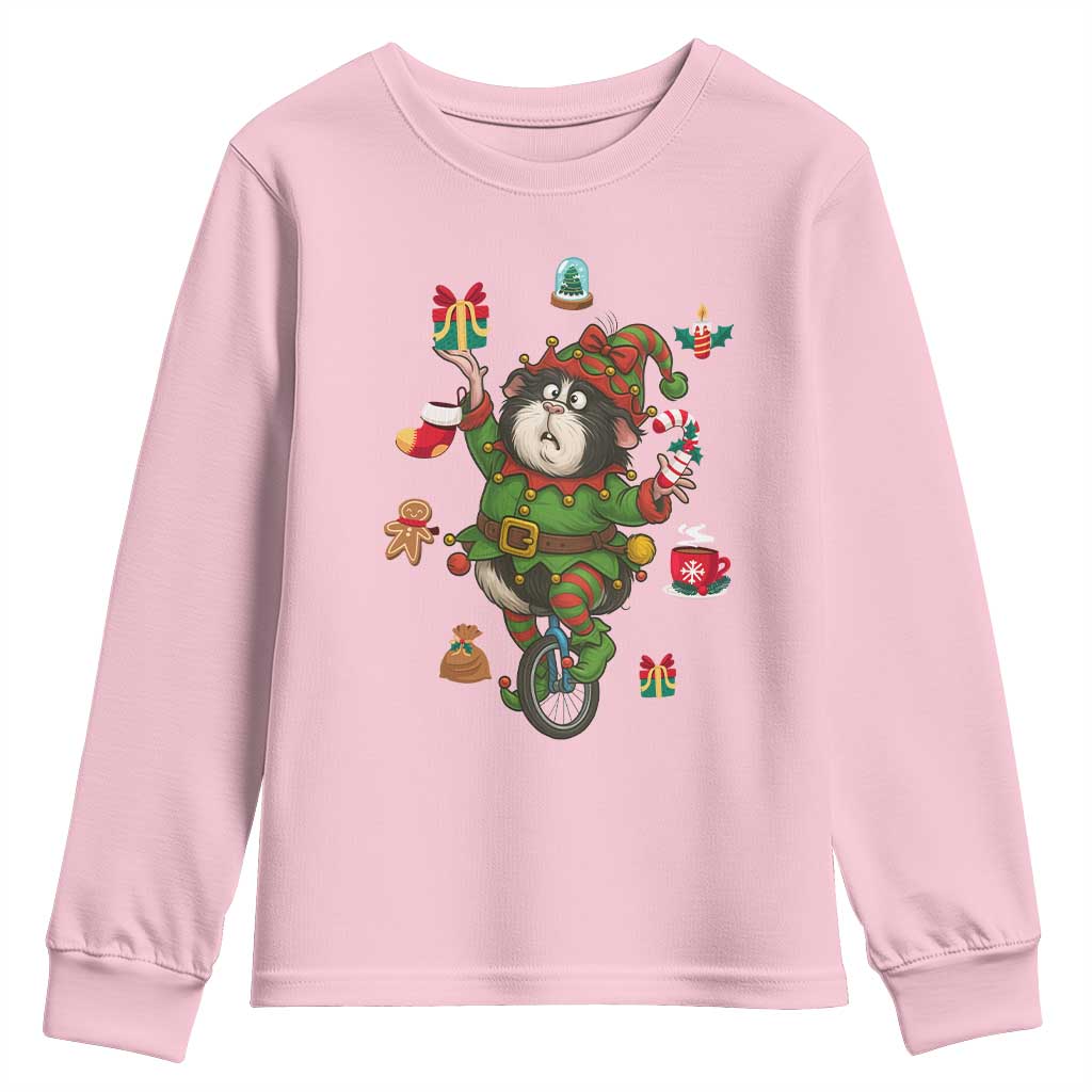 Guinea Pig Master Juggler Youth Sweatshirt Funny Christmas Cavy Lover Gift - Wonder Print Shop