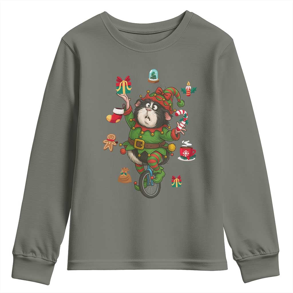 Guinea Pig Master Juggler Youth Sweatshirt Funny Christmas Cavy Lover Gift - Wonder Print Shop