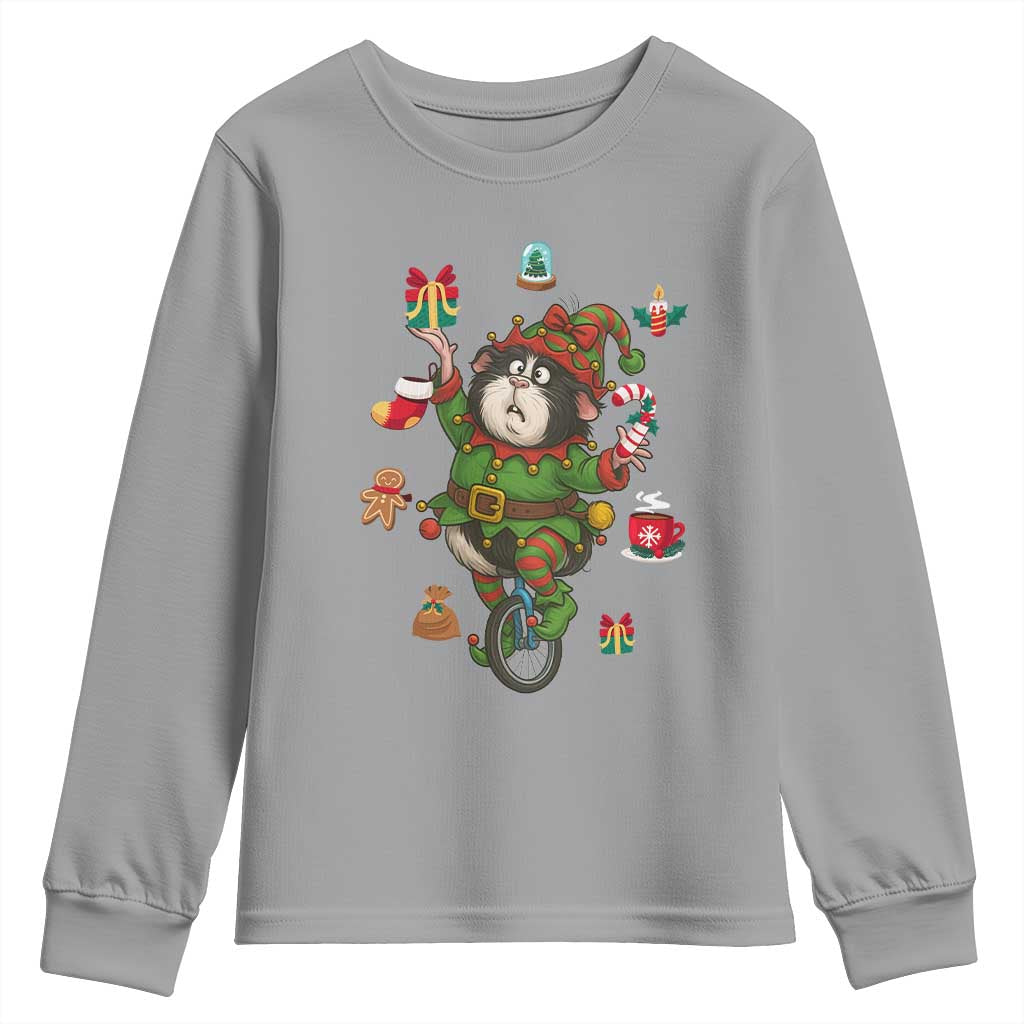 Guinea Pig Master Juggler Youth Sweatshirt Funny Christmas Cavy Lover Gift - Wonder Print Shop