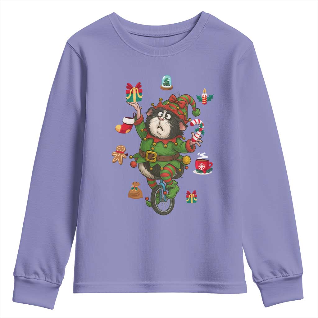 Guinea Pig Master Juggler Youth Sweatshirt Funny Christmas Cavy Lover Gift - Wonder Print Shop