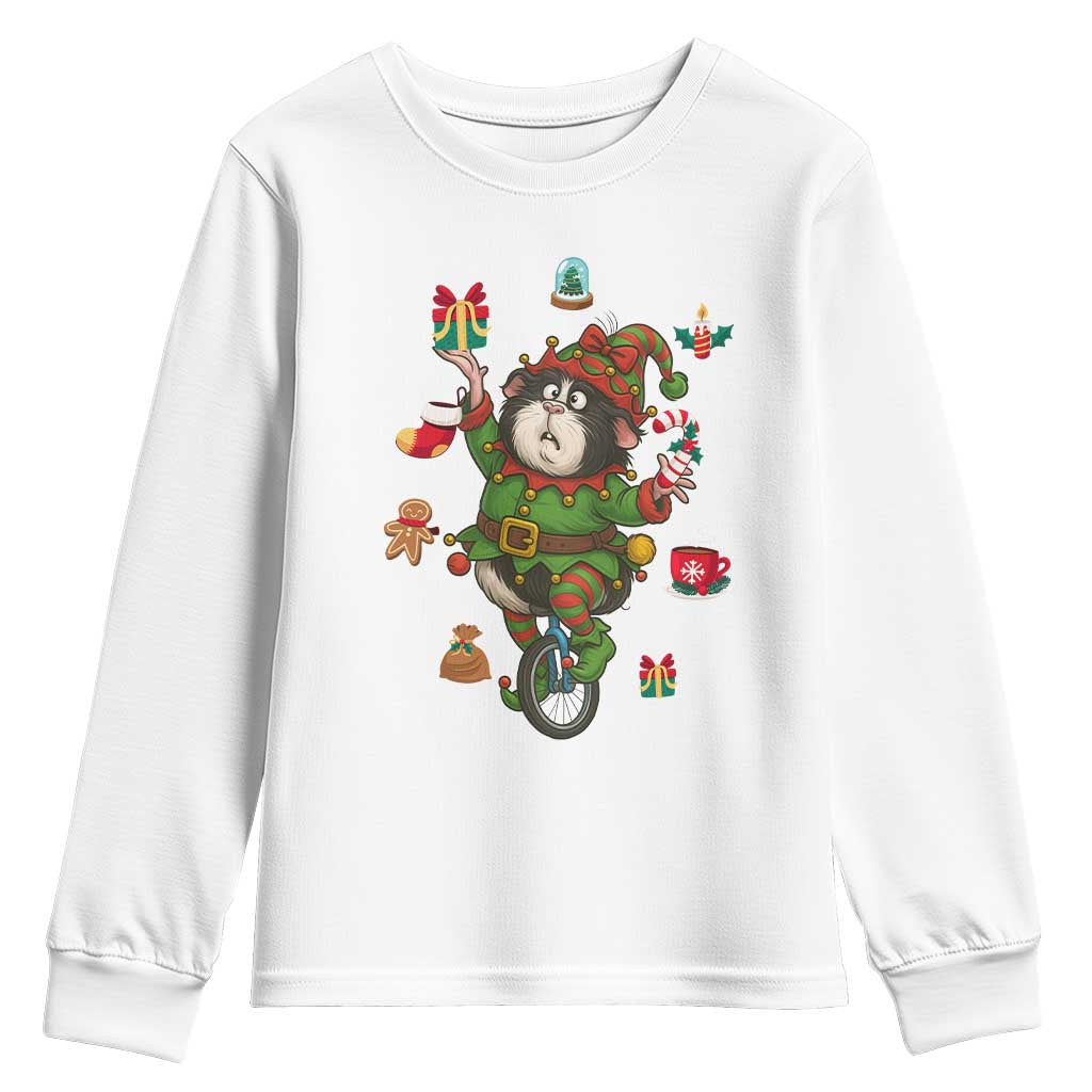 Guinea Pig Master Juggler Youth Sweatshirt Funny Christmas Cavy Lover Gift - Wonder Print Shop