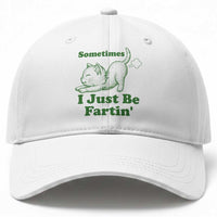 Funny Cat Sometimes I Just Be Fartin Baseball Cap Pet Lover
