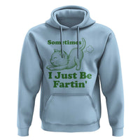 Funny Cat Sometimes I Just Be Fartin Hoodie Pet Lover
