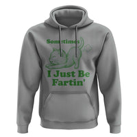 Funny Cat Sometimes I Just Be Fartin Hoodie Pet Lover
