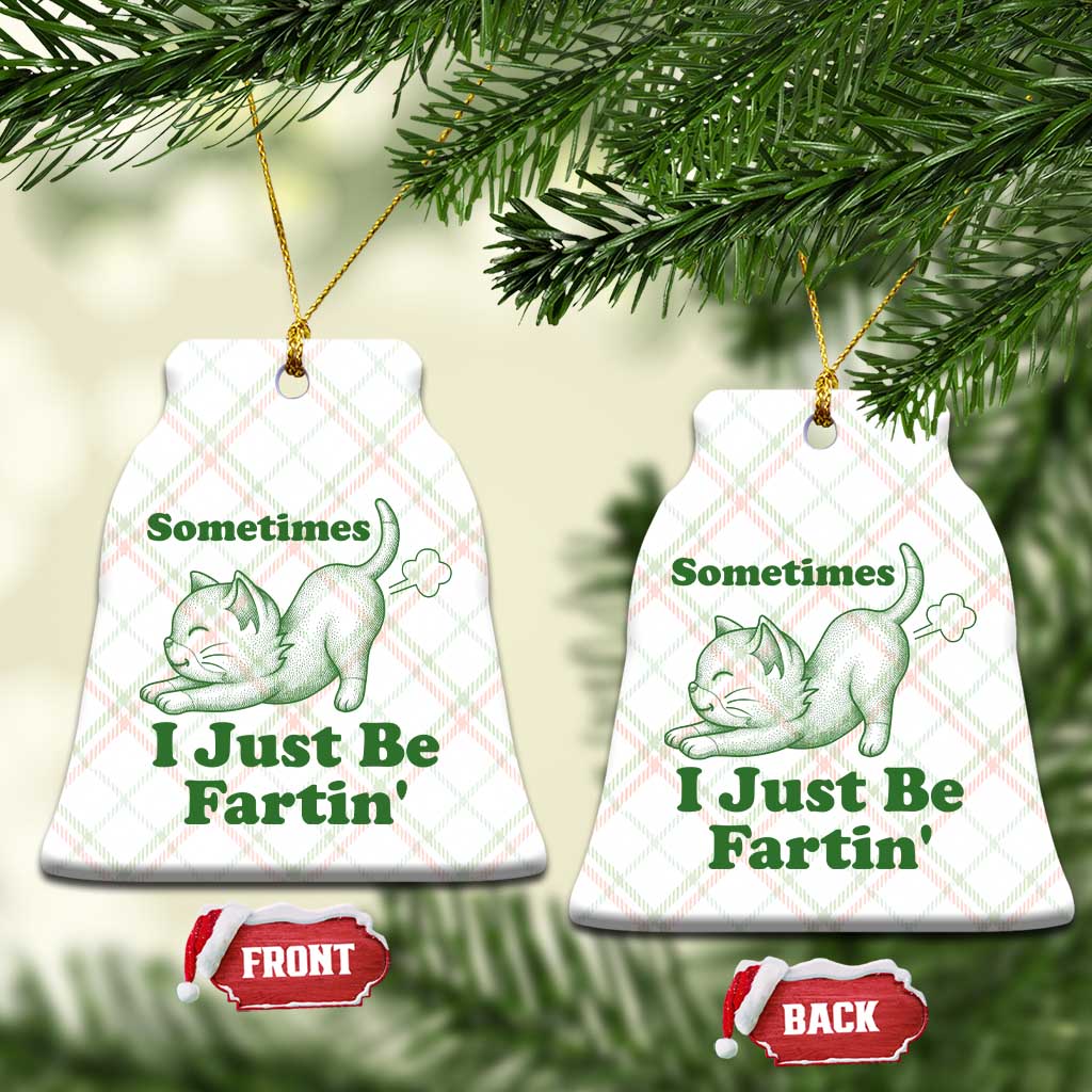 Funny Cat Sometimes I Just Be Fartin Ceramic Ornament Pet Lover