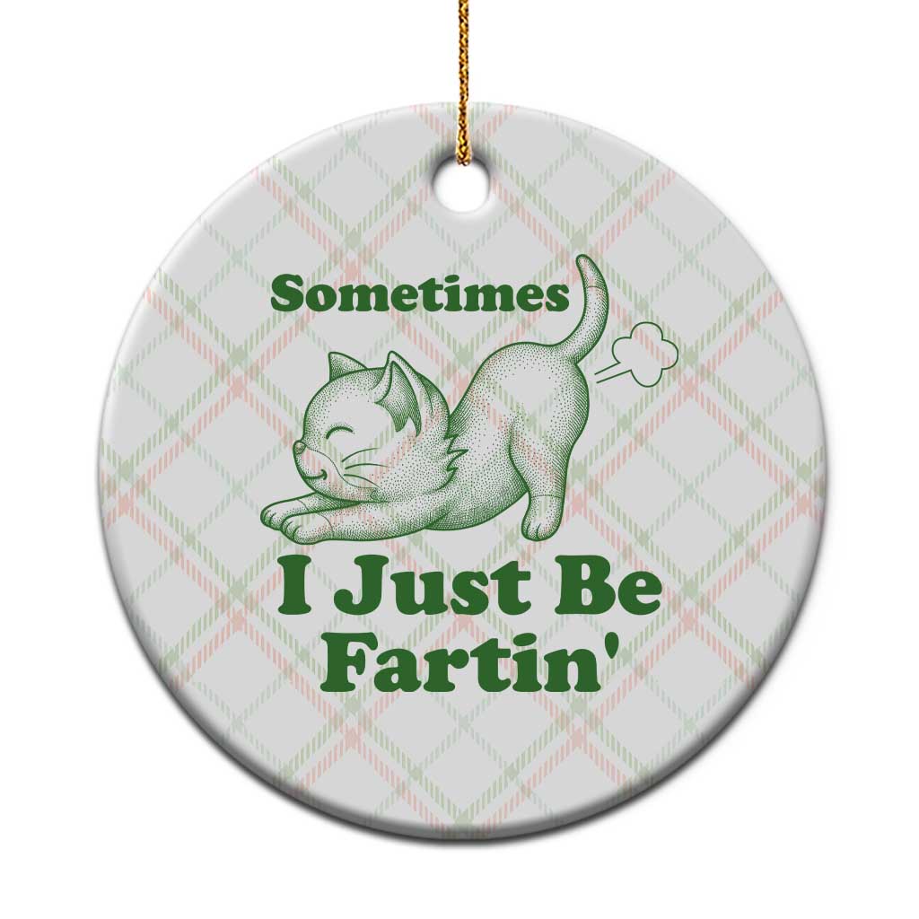 Funny Cat Sometimes I Just Be Fartin Ceramic Ornament Pet Lover