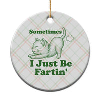 Funny Cat Sometimes I Just Be Fartin Ceramic Ornament Pet Lover