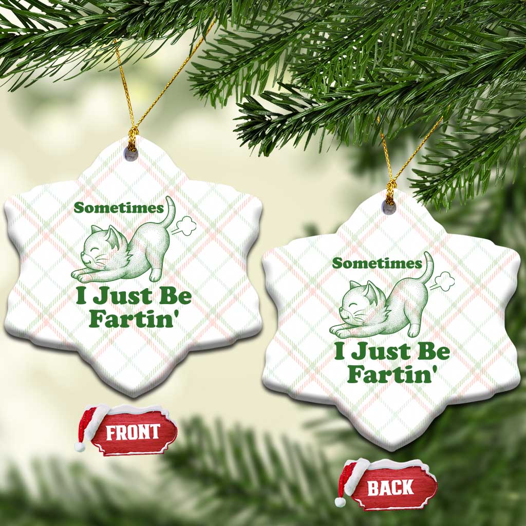 Funny Cat Sometimes I Just Be Fartin Ceramic Ornament Pet Lover