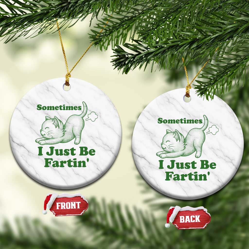 Funny Cat Sometimes I Just Be Fartin Ceramic Ornament Pet Lover