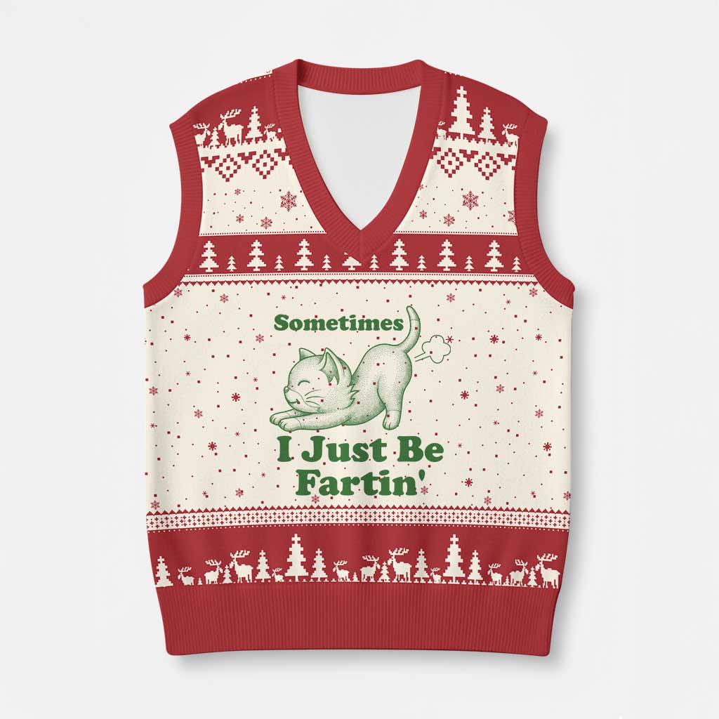 Funny Cat Sometimes I Just Be Fartin V-Neck Knit Sweater Vest Pet Lover