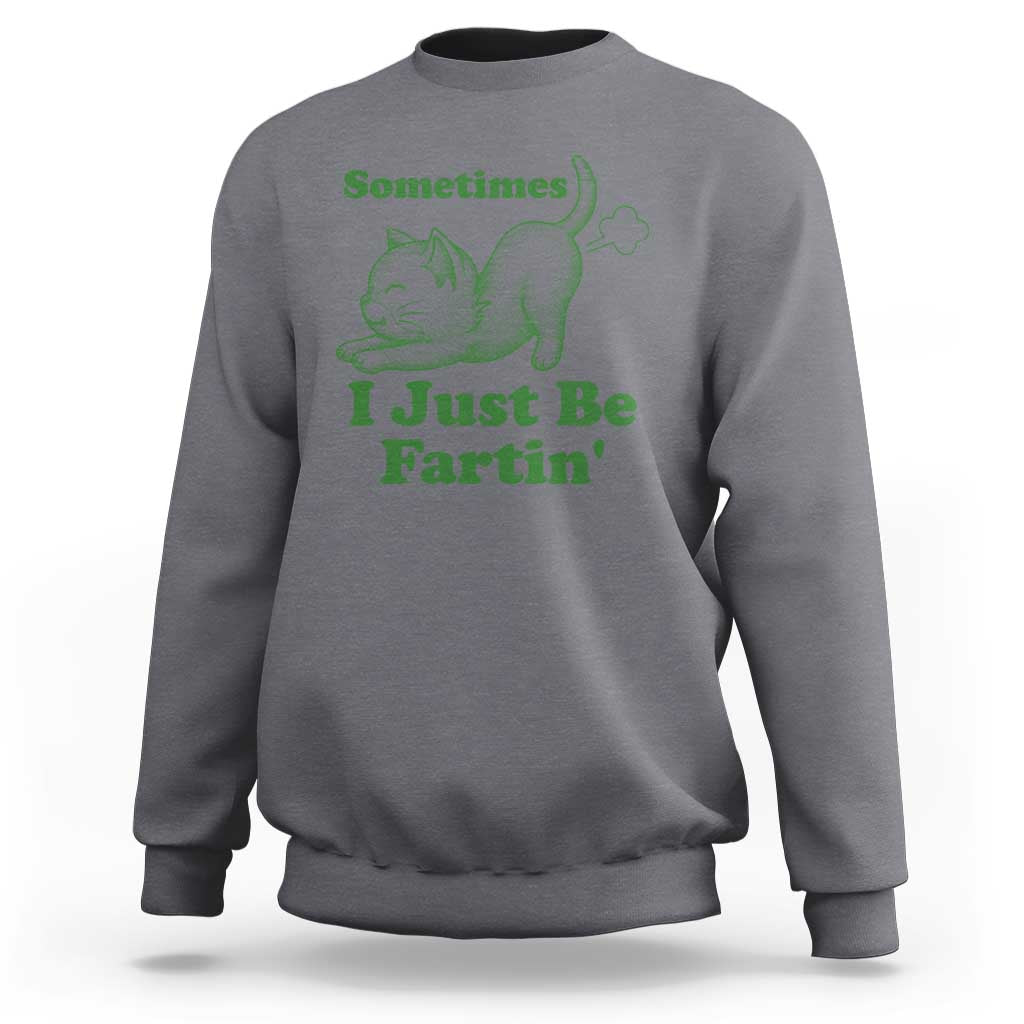 Funny Cat Sometimes I Just Be Fartin Sweatshirt Pet Lover