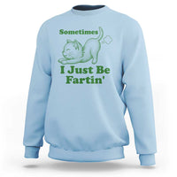 Funny Cat Sometimes I Just Be Fartin Sweatshirt Pet Lover