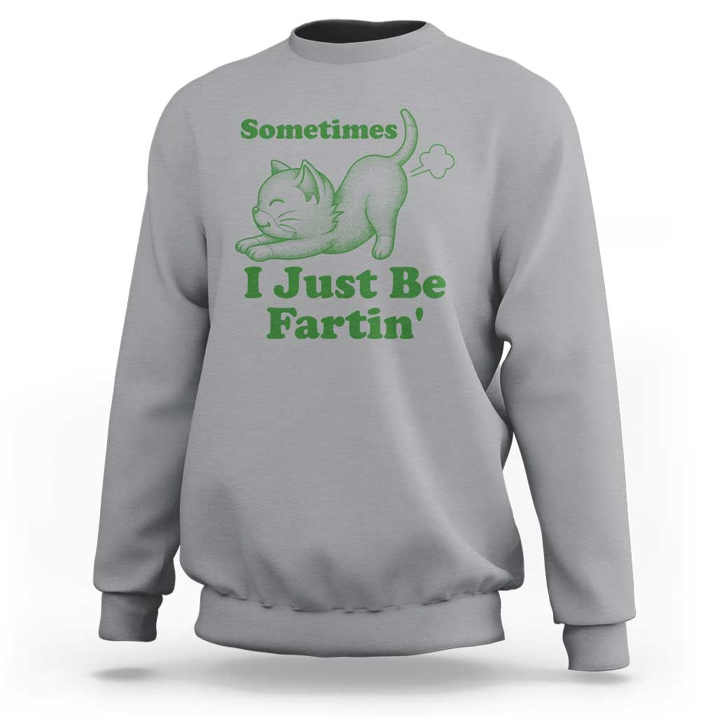 Funny Cat Sometimes I Just Be Fartin Sweatshirt Pet Lover