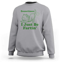 Funny Cat Sometimes I Just Be Fartin Sweatshirt Pet Lover