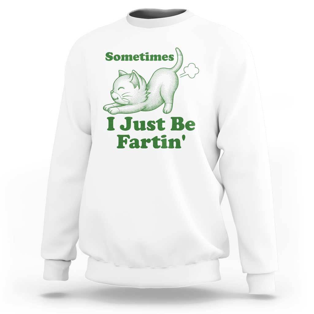 Funny Cat Sometimes I Just Be Fartin Sweatshirt Pet Lover