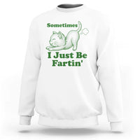Funny Cat Sometimes I Just Be Fartin Sweatshirt Pet Lover