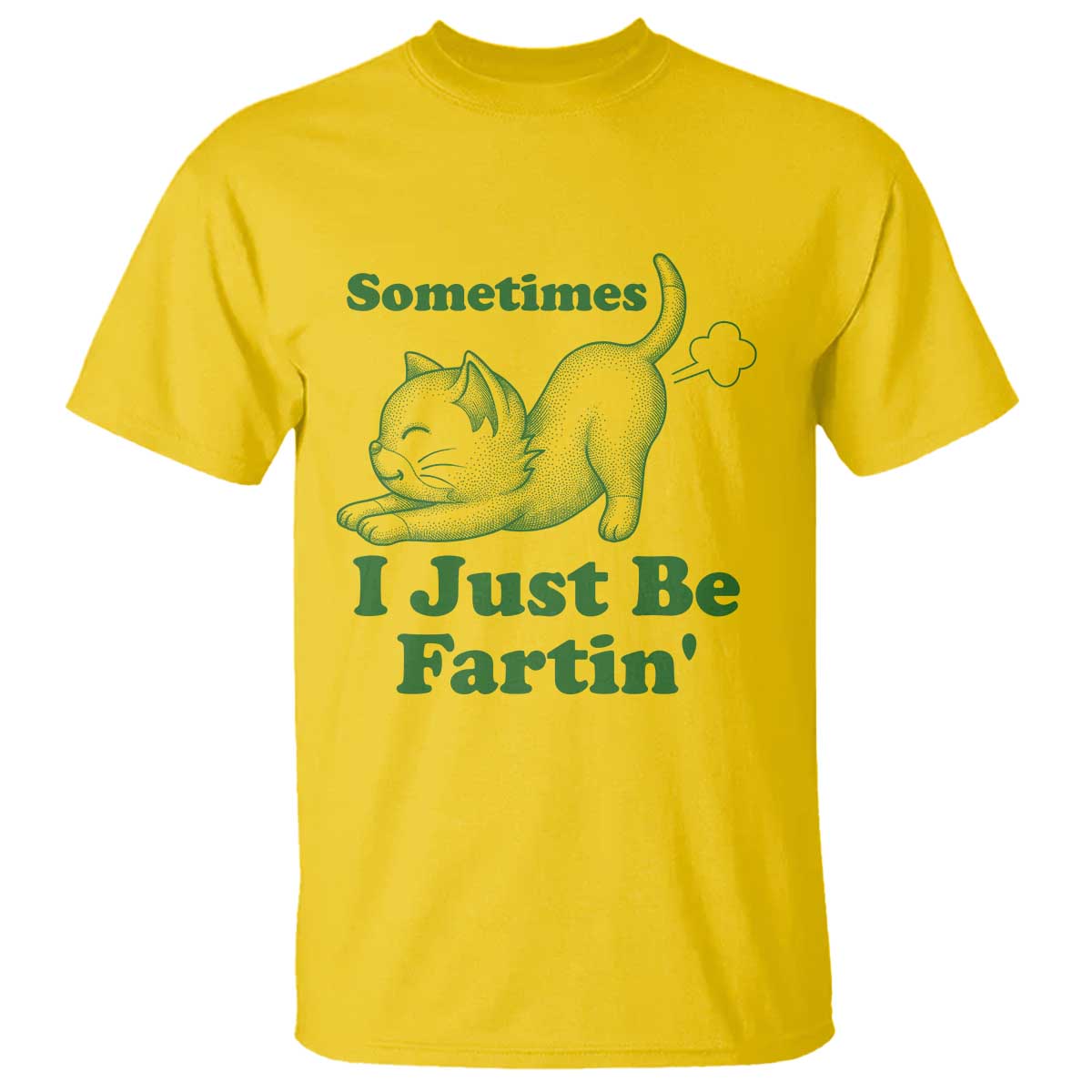 Funny Cat Sometimes I Just Be Fartin T Shirt Pet Lover