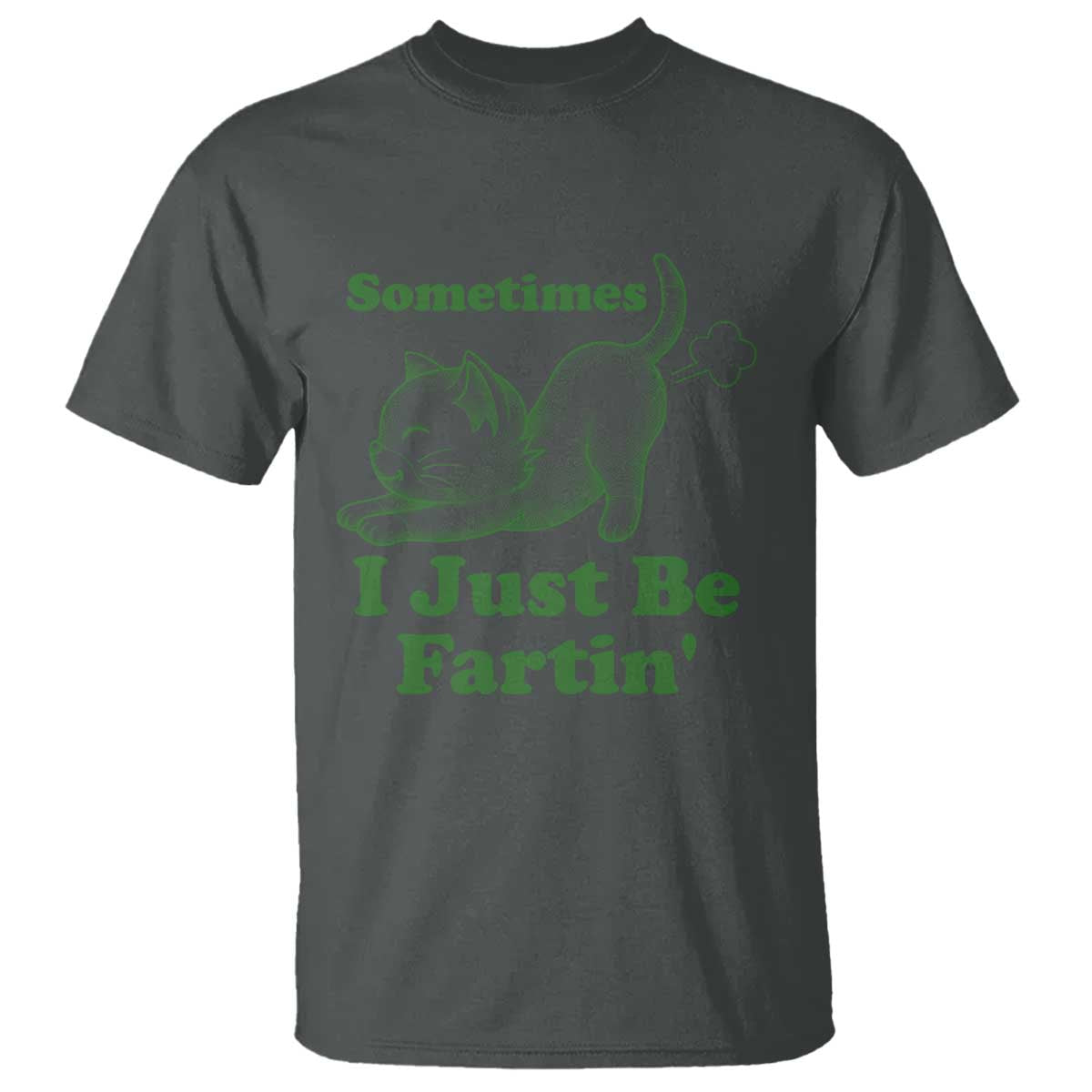 Funny Cat Sometimes I Just Be Fartin T Shirt Pet Lover