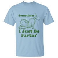 Funny Cat Sometimes I Just Be Fartin T Shirt Pet Lover