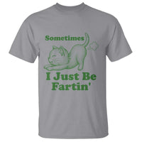Funny Cat Sometimes I Just Be Fartin T Shirt Pet Lover