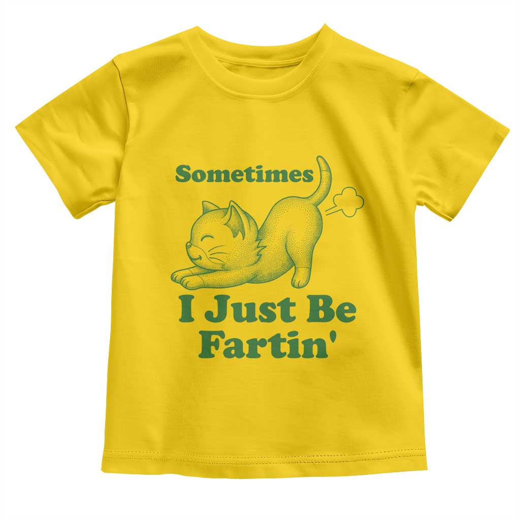 Funny Cat Sometimes I Just Be Fartin Toddler T Shirt Pet Lover